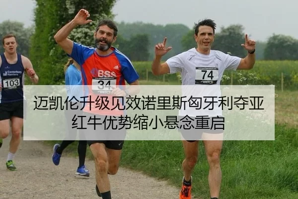 迈凯伦升级见效诺里斯匈牙利夺亚 红牛优势缩小悬念重启